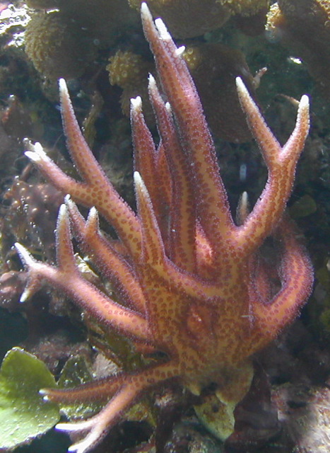 DSCN0002.JPG