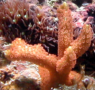 DSCN0021.JPG
