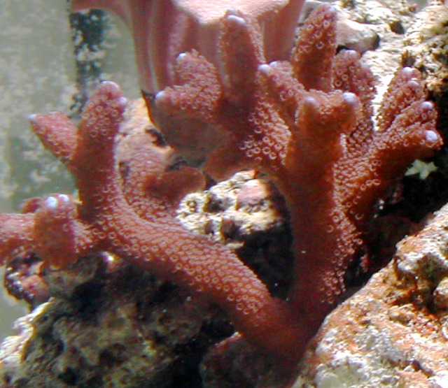 DSCN0009.JPG