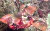 DSCN0020.JPG